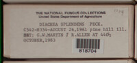 Image Associated With the Occurence